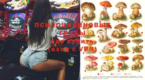 мдпв Арсеньев