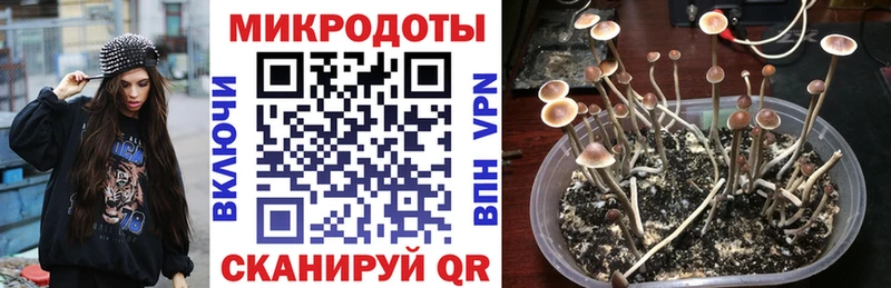Псилоцибиновые грибы Magic Shrooms  где можно купить наркотик  Циолковский 
