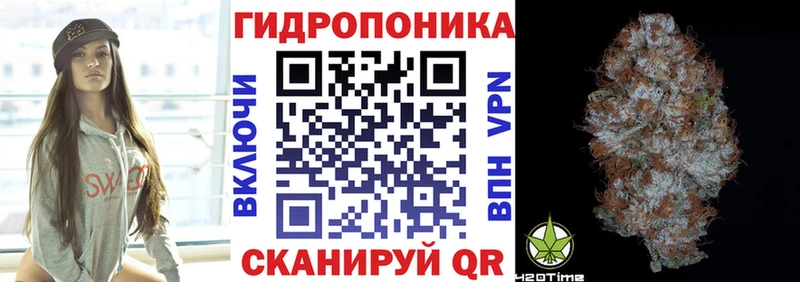 продажа наркотиков  Циолковский  Каннабис индика 